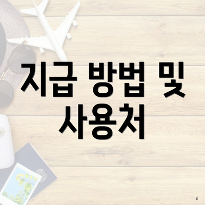 지급 방법 및 사용처