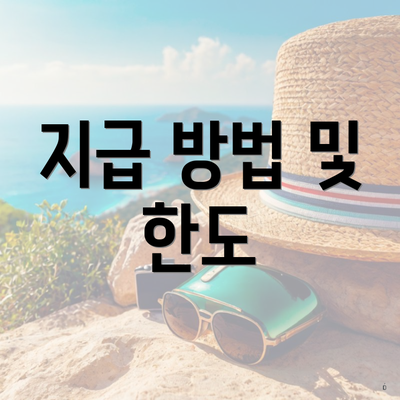 지급 방법 및 한도
