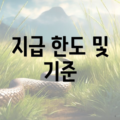 지급 한도 및 기준