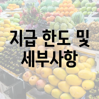 지급 한도 및 세부사항