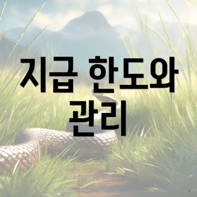 지급 한도와 관리
