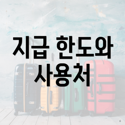 지급 한도와 사용처