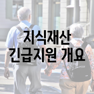 지식재산 긴급지원 개요