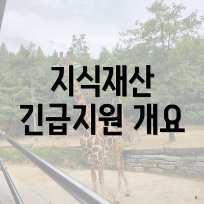 지식재산 긴급지원 개요