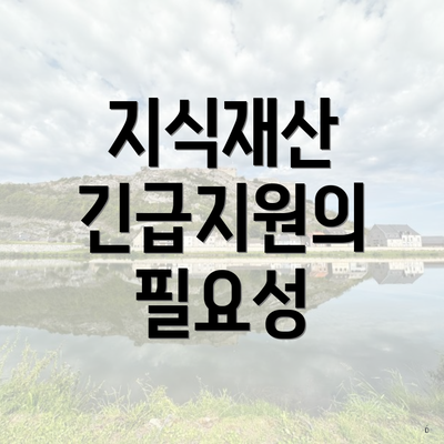 지식재산 긴급지원의 필요성