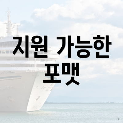 지원 가능한 포맷