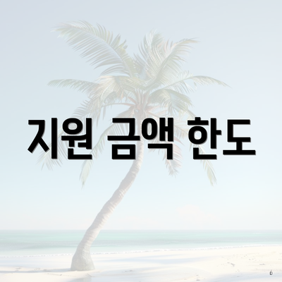 지원 금액 한도