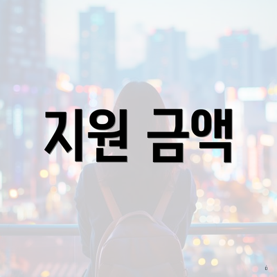지원 금액