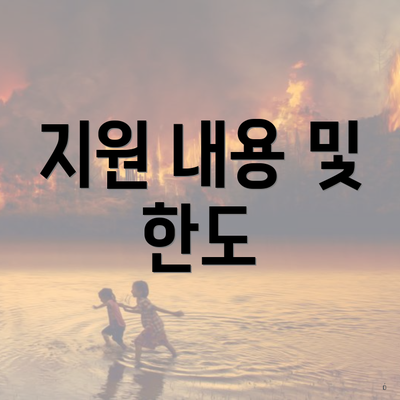 지원 내용 및 한도