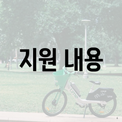 지원 내용
