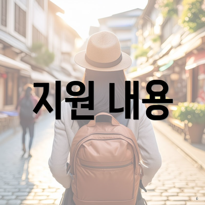 지원 내용