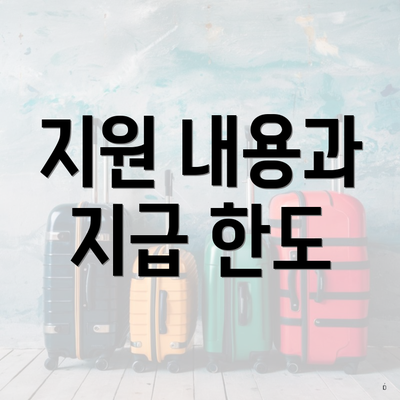 지원 내용과 지급 한도