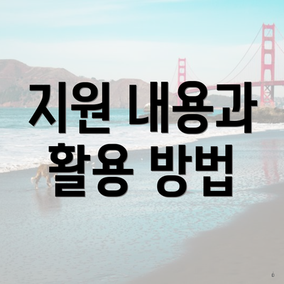 지원 내용과 활용 방법
