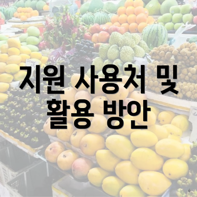 지원 사용처 및 활용 방안