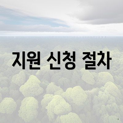 지원 신청 절차