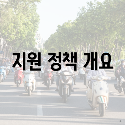 지원 정책 개요