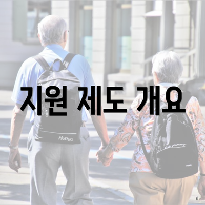 지원 제도 개요