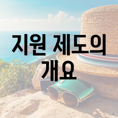 지원 제도의 개요