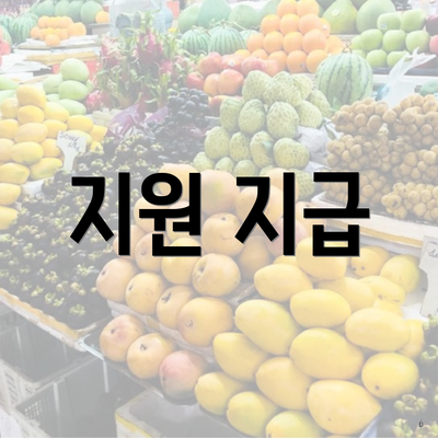 지원 지급