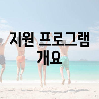 지원 프로그램 개요
