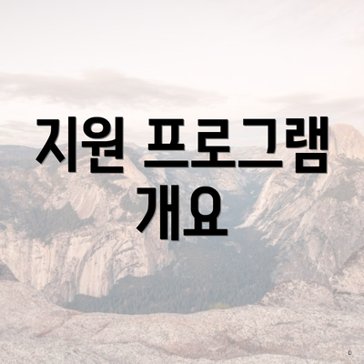 지원 프로그램 개요
