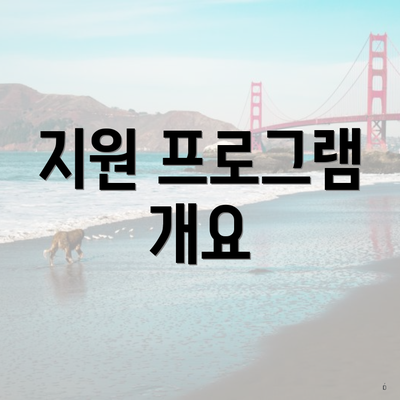 지원 프로그램 개요