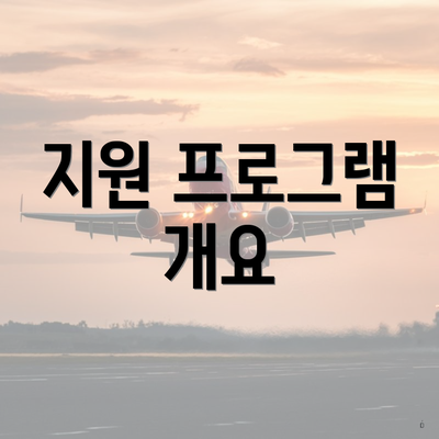 지원 프로그램 개요