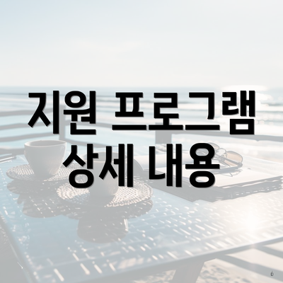지원 프로그램 상세 내용