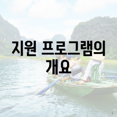 지원 프로그램의 개요