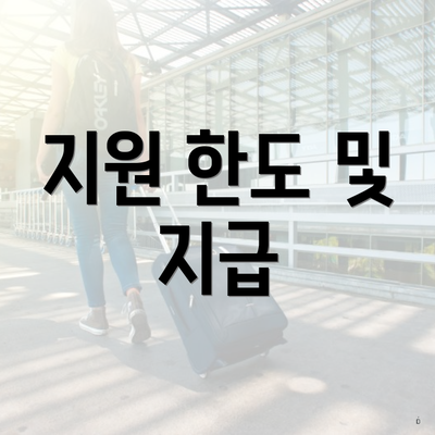 지원 한도 및 지급