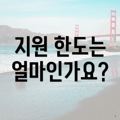 지원 한도는 얼마인가요?