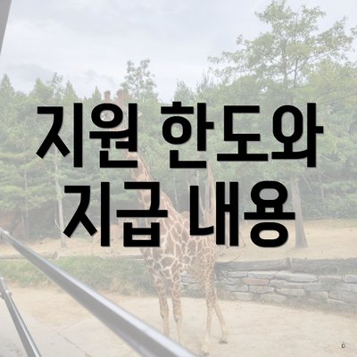 지원 한도와 지급 내용