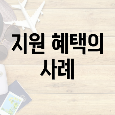 지원 혜택의 사례