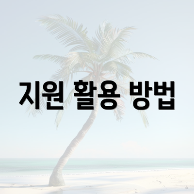 지원 활용 방법