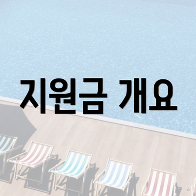 지원금 개요