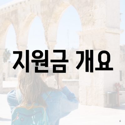 지원금 개요