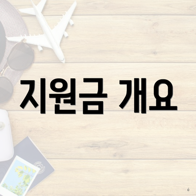 지원금 개요