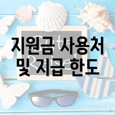 지원금 사용처 및 지급 한도