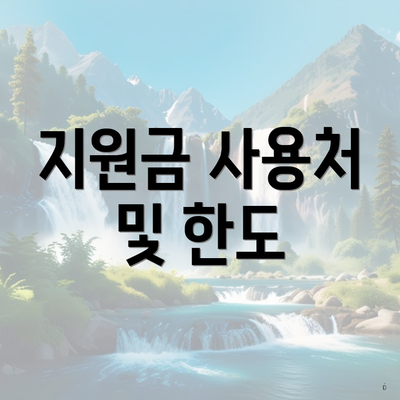 지원금 사용처 및 한도