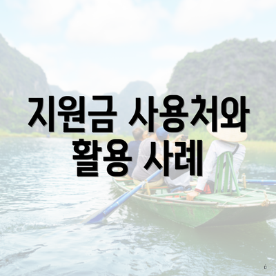 지원금 사용처와 활용 사례