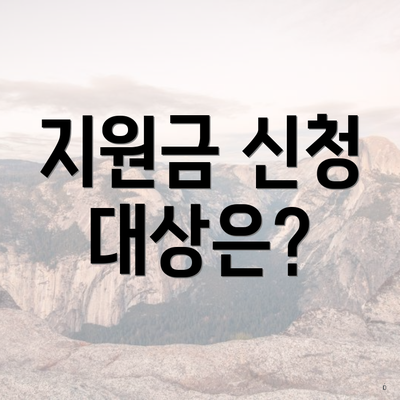 지원금 신청 대상은?