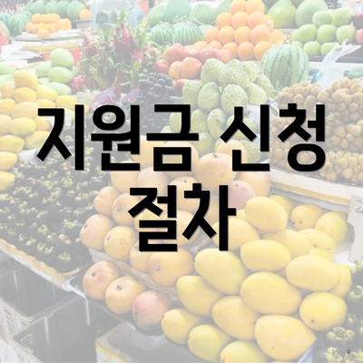 지원금 신청 절차