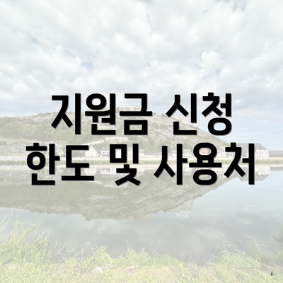 지원금 신청 한도 및 사용처