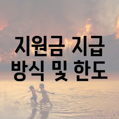 지원금 지급 방식 및 한도