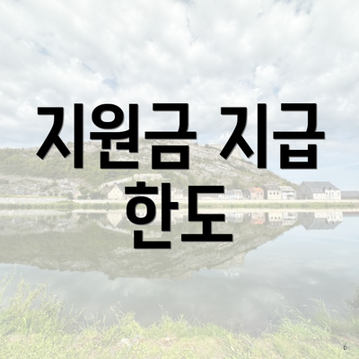 지원금 지급 한도