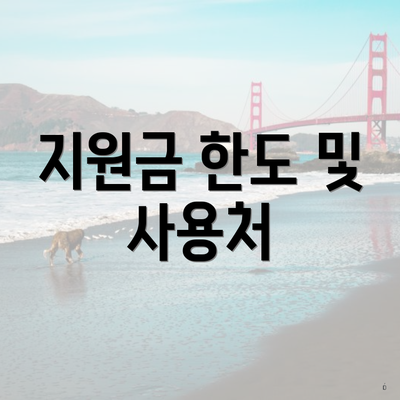 지원금 한도 및 사용처