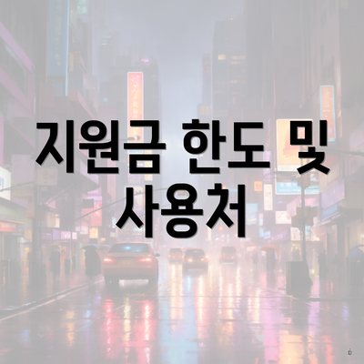 지원금 한도 및 사용처