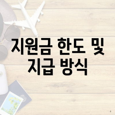 지원금 한도 및 지급 방식