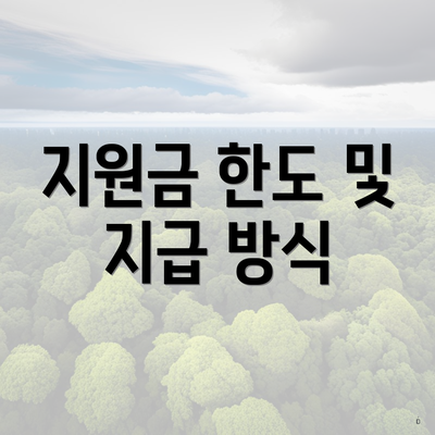 지원금 한도 및 지급 방식