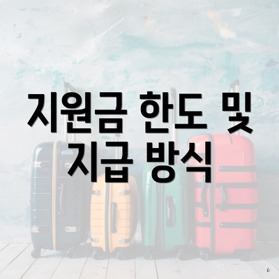 지원금 한도 및 지급 방식